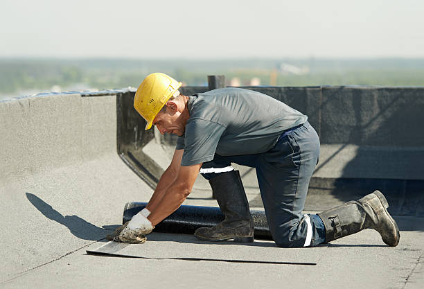 Best Affordable Insulation Services  in Ackerman, MS