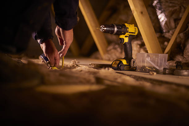 Best Insulation Removal  in Ackerman, MS